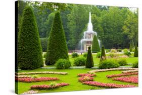 Peterhof Palace. Roman Fountain of the Lower Park in the Rain-kavalenkava volha-Stretched Canvas