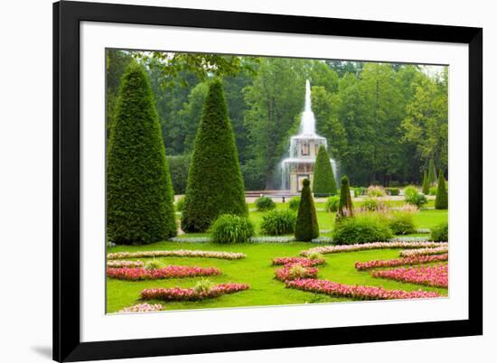 Peterhof Palace. Roman Fountain of the Lower Park in the Rain-kavalenkava volha-Framed Photographic Print