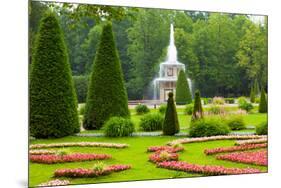 Peterhof Palace. Roman Fountain of the Lower Park in the Rain-kavalenkava volha-Mounted Photographic Print