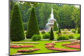 Peterhof Palace. Roman Fountain of the Lower Park in the Rain-kavalenkava volha-Mounted Photographic Print