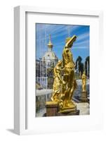 Peterhof (Petrodvorets), UNESCO World Heritage Site, St. Petersburg, Russia, Europe-Michael Runkel-Framed Photographic Print