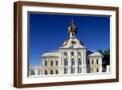 Brown Frame