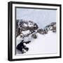 Petermann Glacier, Greenland-Science Source-Framed Giclee Print