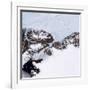 Petermann Glacier, Greenland-Science Source-Framed Giclee Print