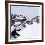 Petermann Glacier, Greenland-Science Source-Framed Giclee Print