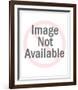 Peterson IV-Frank Stella-Framed Limited Edition