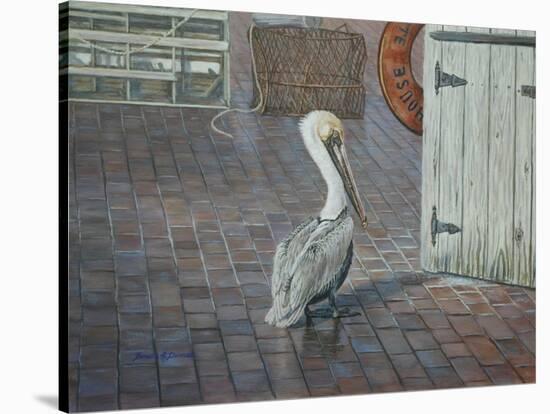 Petes' Pelican-Bruce Dumas-Stretched Canvas