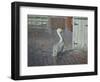 Petes' Pelican-Bruce Dumas-Framed Giclee Print