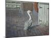 Petes' Pelican-Bruce Dumas-Mounted Giclee Print