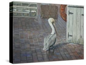 Petes' Pelican-Bruce Dumas-Stretched Canvas