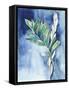 Petiole on Indigo II-Jennifer Goldberger-Framed Stretched Canvas