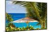 Petit Anse Beach, Mahe, Republic of Seychelles, Indian Ocean.-Michael DeFreitas-Mounted Photographic Print