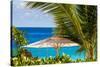 Petit Anse Beach, Mahe, Republic of Seychelles, Indian Ocean.-Michael DeFreitas-Stretched Canvas