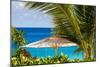 Petit Anse Beach, Mahe, Republic of Seychelles, Indian Ocean.-Michael DeFreitas-Mounted Photographic Print