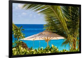 Petit Anse Beach, Mahe, Republic of Seychelles, Indian Ocean.-Michael DeFreitas-Framed Photographic Print