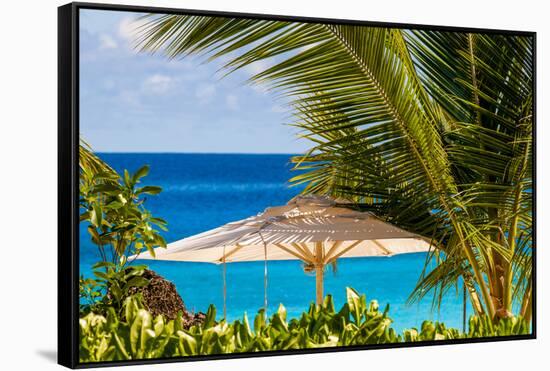 Petit Anse Beach, Mahe, Republic of Seychelles, Indian Ocean.-Michael DeFreitas-Framed Stretched Canvas