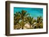 Petit Anse Beach, Mahe, Republic of Seychelles, Indian Ocean.-Michael DeFreitas-Framed Photographic Print