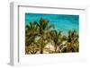 Petit Anse Beach, Mahe, Republic of Seychelles, Indian Ocean.-Michael DeFreitas-Framed Photographic Print