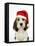 Petit Basset Griffon Vendeen Puppy 4 Months-null-Framed Stretched Canvas