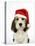 Petit Basset Griffon Vendeen Puppy 4 Months-null-Stretched Canvas