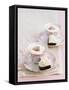 Petit Fours and Cappuccino Decorated with Cocoa Powder Hearts-Gareth Morgans-Framed Stretched Canvas