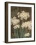 Petit Jardin Narcissus-Pamela Gladding-Framed Art Print