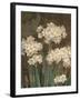 Petit Jardin Narcissus-Pamela Gladding-Framed Art Print