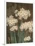 Petit Jardin Narcissus-Pamela Gladding-Framed Art Print