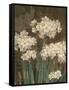 Petit Jardin Narcissus-Pamela Gladding-Framed Stretched Canvas