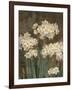 Petit Jardin Narcissus-Pamela Gladding-Framed Art Print