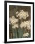 Petit Jardin Narcissus-Pamela Gladding-Framed Art Print