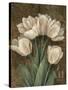 Petit Jardin Tulips-Pamela Gladding-Stretched Canvas