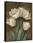 Petit Jardin Tulips-Pamela Gladding-Framed Stretched Canvas