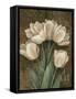 Petit Jardin Tulips-Pamela Gladding-Framed Stretched Canvas