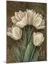 Petit Jardin Tulips-Pamela Gladding-Mounted Art Print