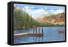 Petit Lake, Idaho-null-Framed Stretched Canvas