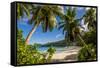 Petit Police Bay Beach, Mahe, Republic of Seychelles, Indian Ocean.-Michael DeFreitas-Framed Stretched Canvas