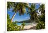 Petit Police Bay Beach, Mahe, Republic of Seychelles, Indian Ocean.-Michael DeFreitas-Framed Photographic Print