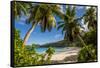 Petit Police Bay Beach, Mahe, Republic of Seychelles, Indian Ocean.-Michael DeFreitas-Framed Stretched Canvas