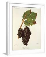 Petit Ribier Grape-J. Troncy-Framed Giclee Print
