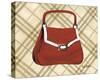 Petit Sac Rouge I-Trish Biddle-Stretched Canvas