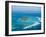 Petit St. Vincent, St. Vincent and the Grenadines, Windward Islands, West Indies, Caribbean-Michael DeFreitas-Framed Photographic Print