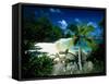 Petite Anse Praslin Seychelles-null-Framed Stretched Canvas