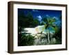 Petite Anse Praslin Seychelles-null-Framed Photographic Print