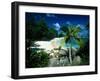 Petite Anse Praslin Seychelles-null-Framed Photographic Print