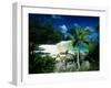 Petite Anse Praslin Seychelles-null-Framed Photographic Print