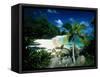 Petite Anse Praslin Seychelles-null-Framed Stretched Canvas