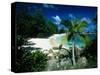Petite Anse Praslin Seychelles-null-Stretched Canvas