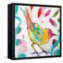 Petite Bird IV-Amanda J. Brooks-Framed Stretched Canvas