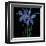 Petite Bleu-Jocelyne Anderson-Tapp-Framed Giclee Print